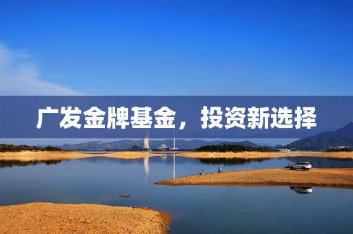 广发金牌基金，投资新选择