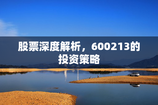 股票深度解析，600213的投资策略