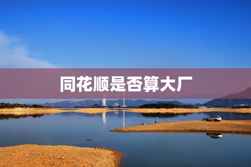 同花顺是否算大厂