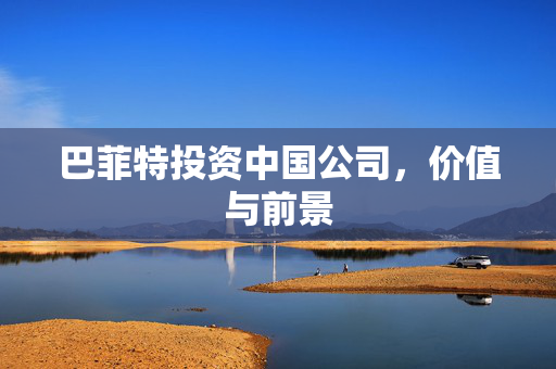 巴菲特投资中国公司，价值与前景