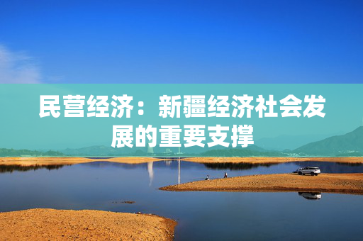 民营经济：新疆经济社会发展的重要支撑