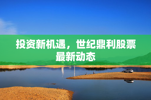 投资新机遇，世纪鼎利股票最新动态