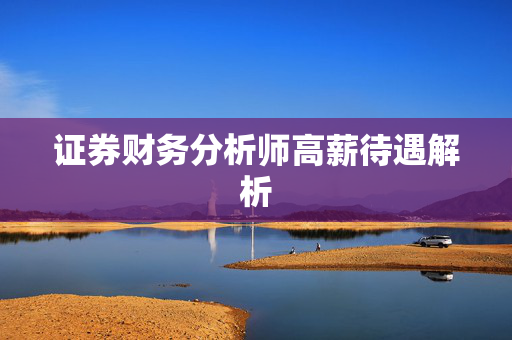 证券财务分析师高薪待遇解析