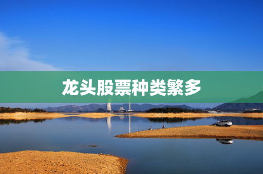 龙头股票种类繁多