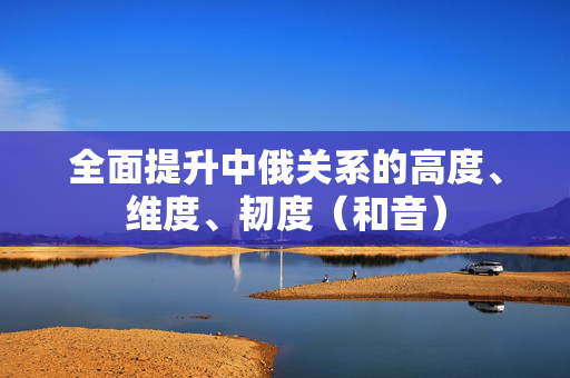 全面提升中俄关系的高度、维度、韧度（和音）