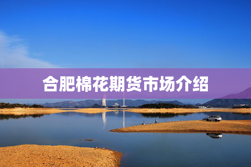 曹晁 第3页