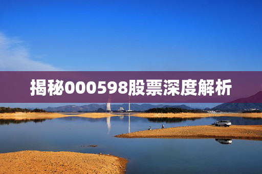揭秘000598股票深度解析