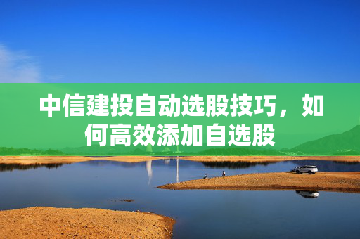 中信建投自动选股技巧，如何高效添加自选股