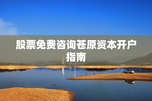 股票免费咨询苍原资本开户指南