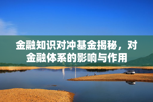 金融知识对冲基金揭秘，对金融体系的影响与作用
