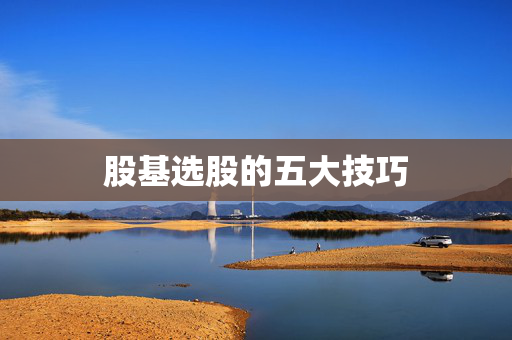 股基选股的五大技巧