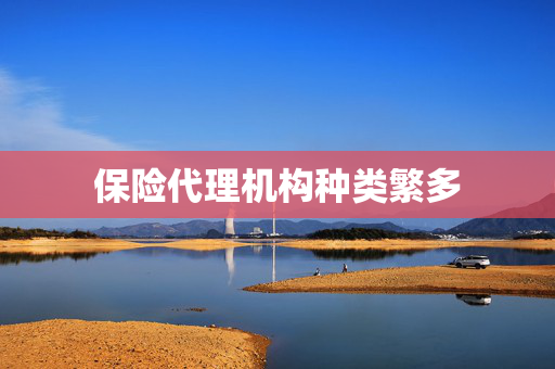 保险代理机构种类繁多