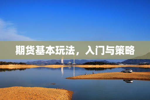 入门策略