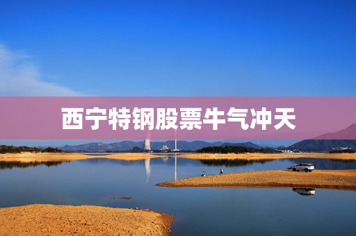 西宁特钢股票牛气冲天