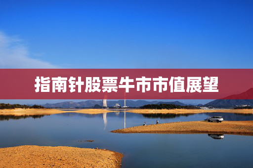 指南针股票牛市市值展望