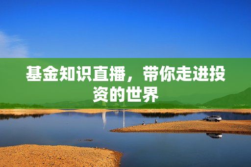 投资技巧 第2页