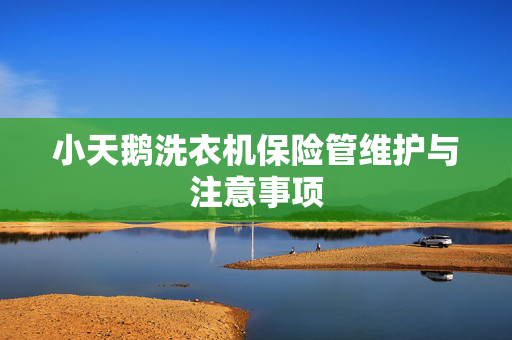 小天鹅洗衣机保险管维护与注意事项
