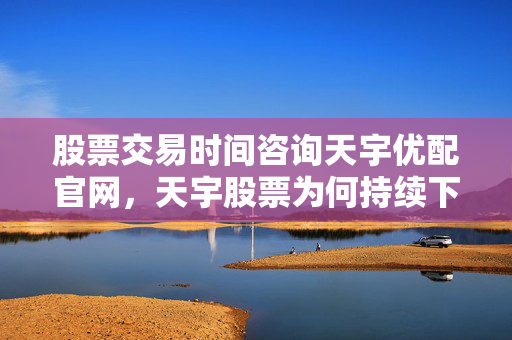 股票交易时间咨询天宇优配官网，天宇股票为何持续下跌？