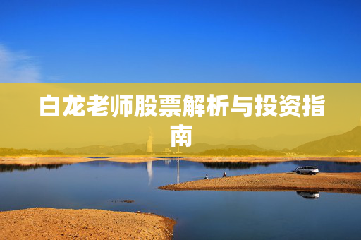 白龙老师股票解析与投资指南
