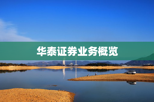 华泰证券业务概览