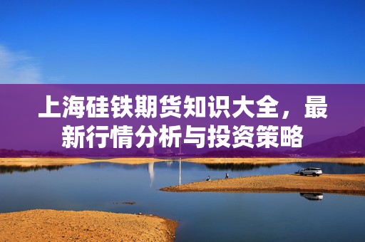 上海硅铁期货知识大全，最新行情分析与投资策略