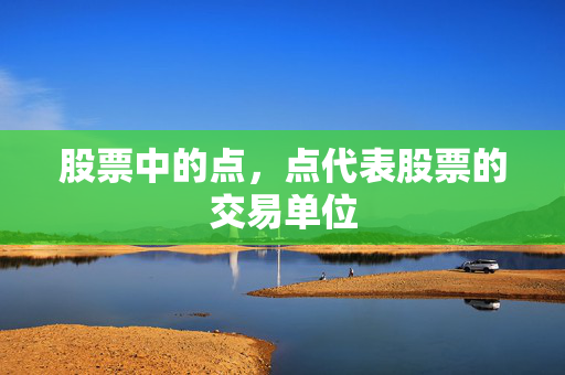 股票中的点，点代表股票的交易单位