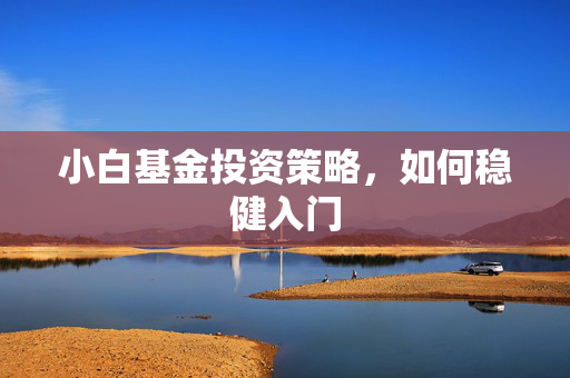 小白基金投资策略，如何稳健入门