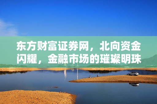 东方财富证券网，北向资金闪耀，金融市场的璀璨明珠