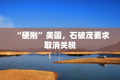 “硬刚”美国，石破茂要求取消关税