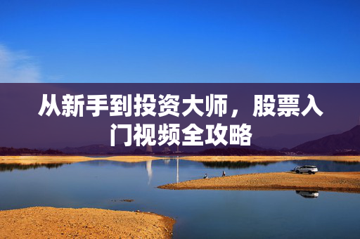 从新手到投资大师，股票入门视频全攻略
