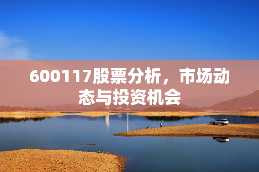 600117股票分析，市场动态与投资机会
