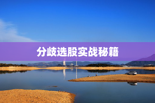 分歧选股实战秘籍