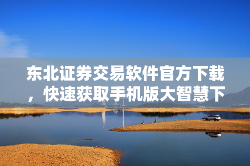 东北证券交易软件官方下载，快速获取手机版大智慧下载指引