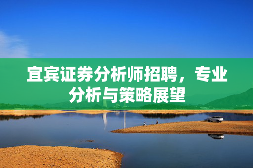 宜宾证券分析师招聘，专业分析与策略展望