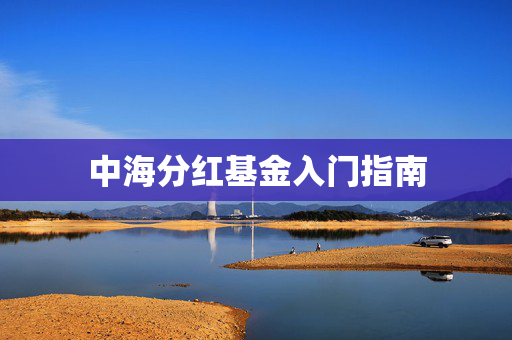 中海分红基金入门指南