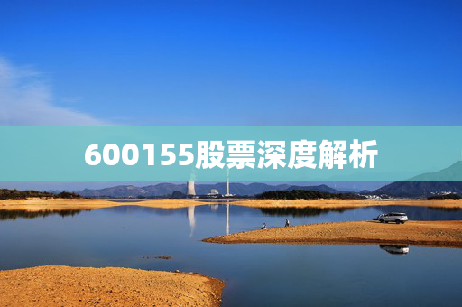 600155股票深度解析