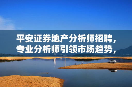 专业分析师