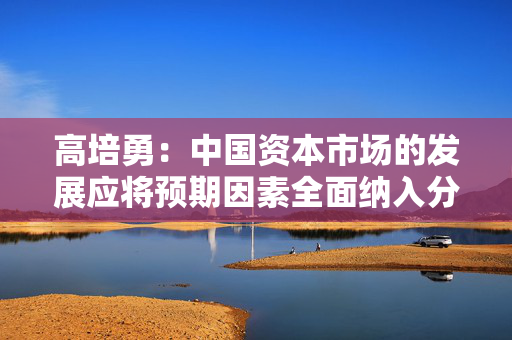 高培勇：中国资本市场的发展应将预期因素全面纳入分析和监测体系