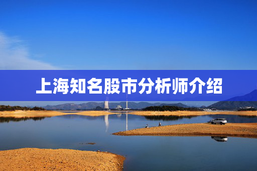 上海知名股市分析师介绍