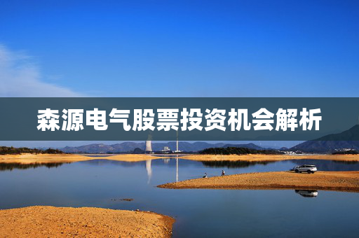 森源电气股票投资机会解析