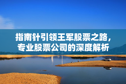 指南针引领王军股票之路，专业股票公司的深度解析