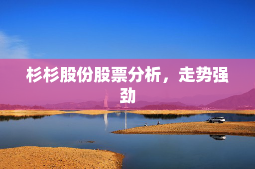 杉杉股份股票分析，走势强劲