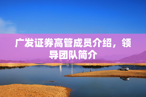 广发证券高管成员介绍，领导团队简介