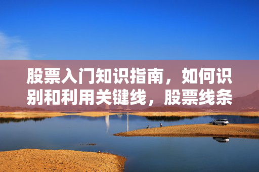 股票入门知识指南，如何识别和利用关键线，股票线条讲解，关键线解析