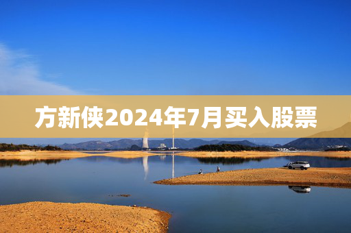 方新侠2024年7月买入股票