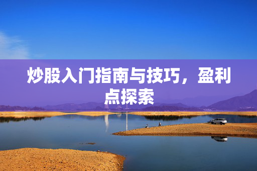 炒股入门指南与技巧，盈利点探索