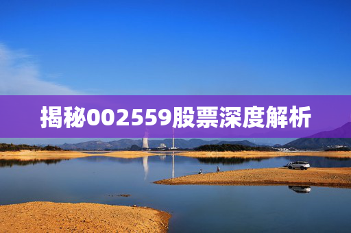 揭秘002559股票深度解析