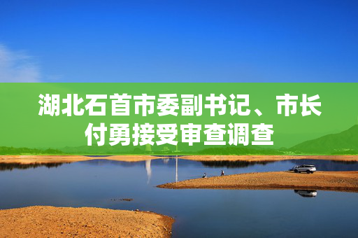 湖北石首市委副书记、市长付勇接受审查调查