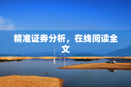 精准证券分析，在线阅读全文