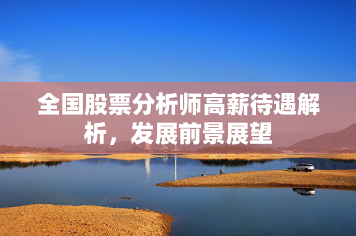 全国股票分析师高薪待遇解析，发展前景展望